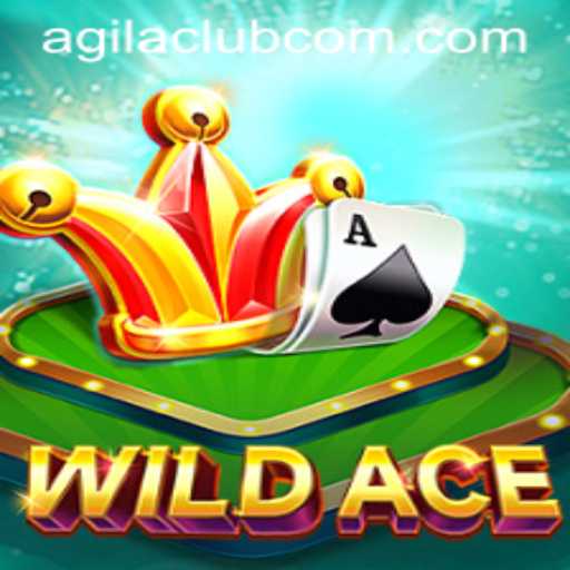 Discovering WildAce: The Thrill of AgilaClub